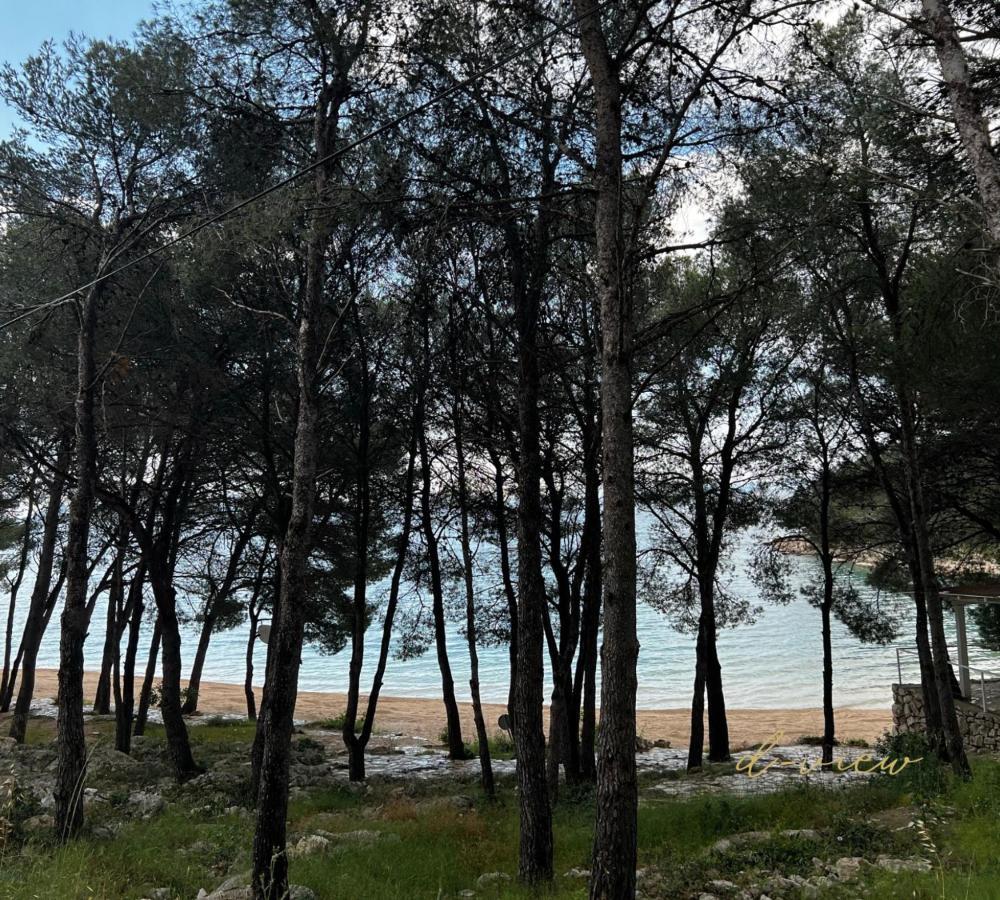 D-View Premium Mobile Home - Panoramic Seaview - 150 M From Beach, Free Parking Drage Eksteriør bilde